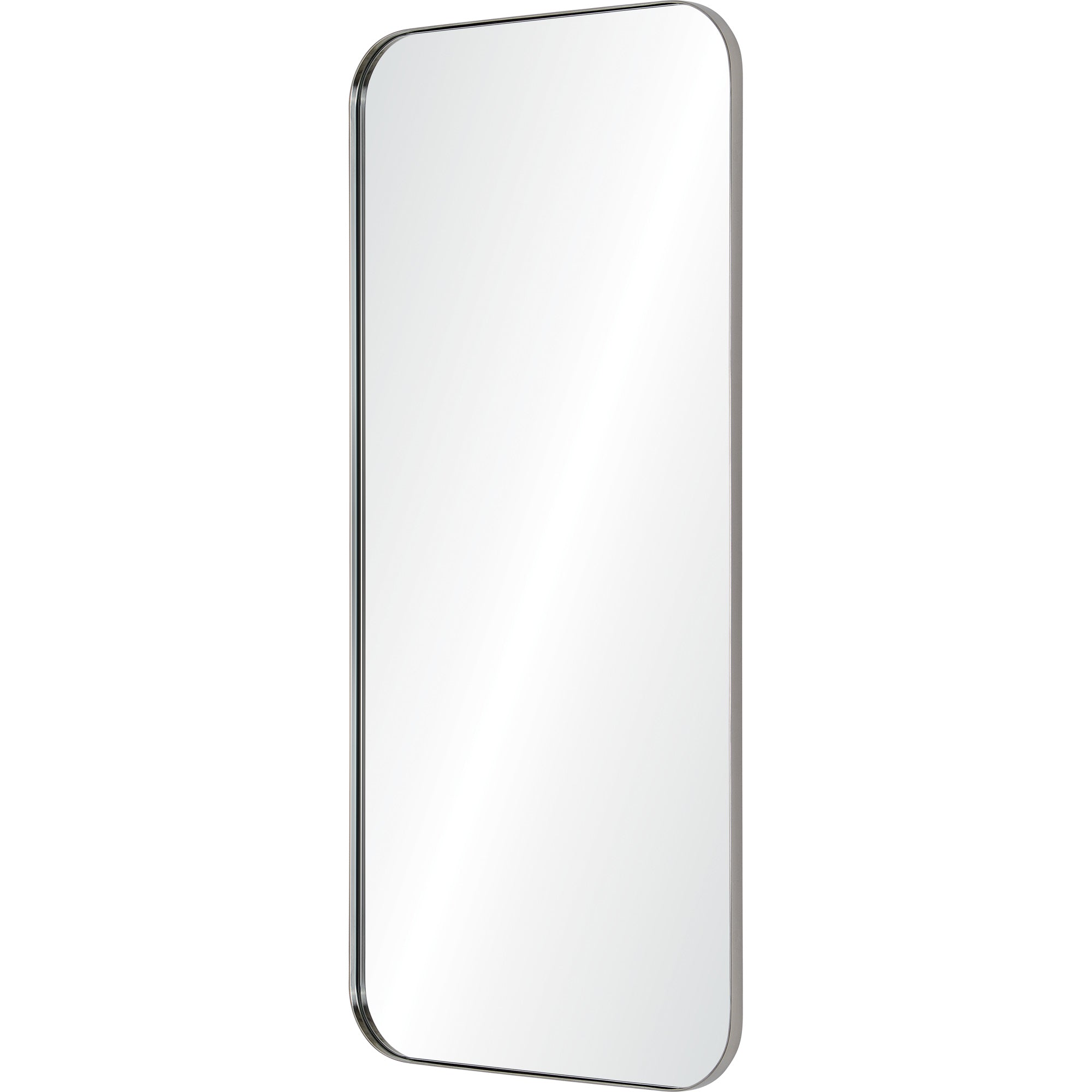 Renwil Delphinus 46" Tall Rectangle Wall Mirror - Grey