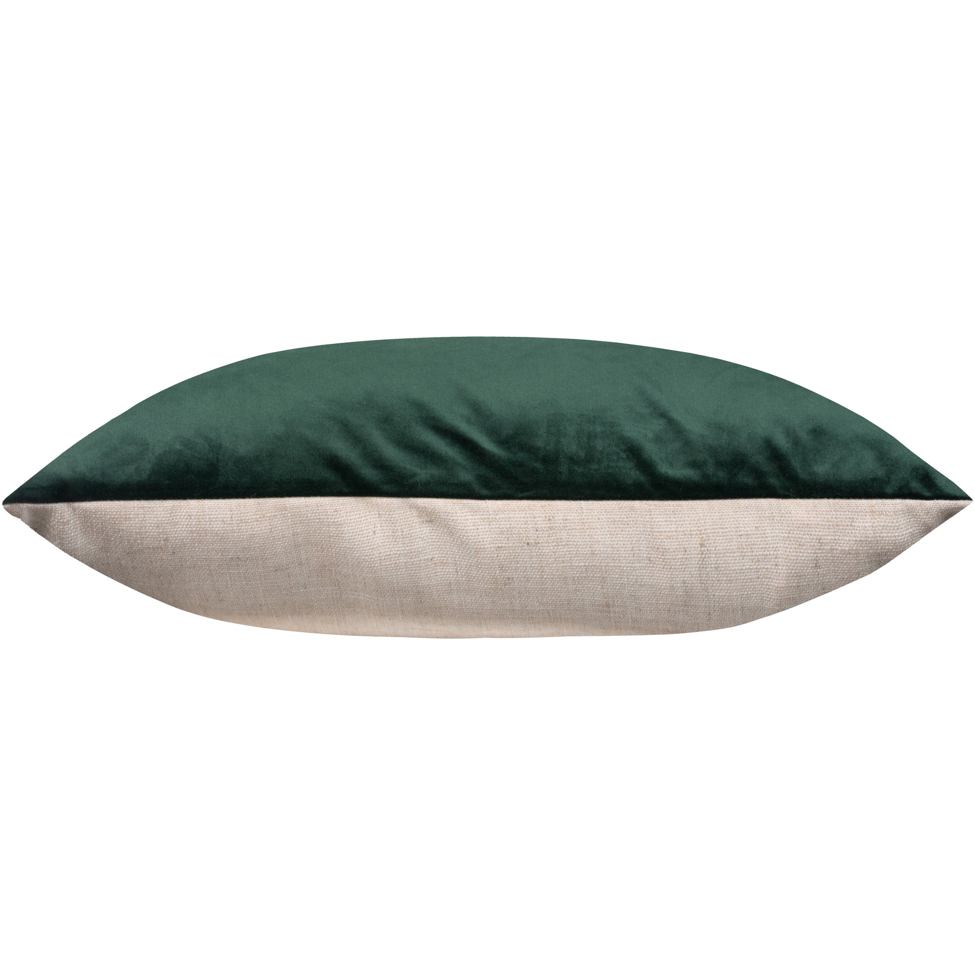 Renwil Olive 20 x 20 Indoor Pillow - Hunter Green
