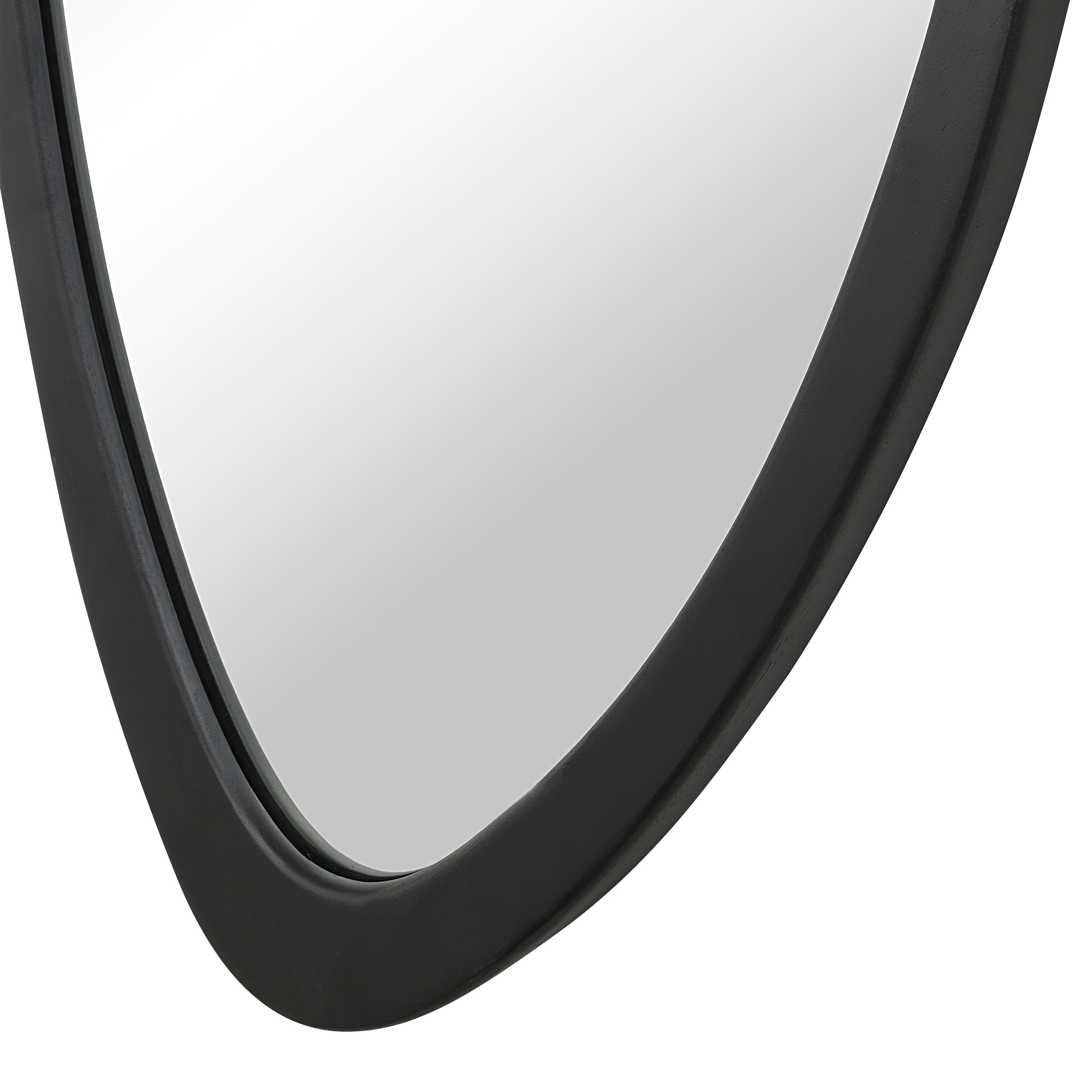Renwil Trani 40" H x 19.75" W Wall Mirror - Black