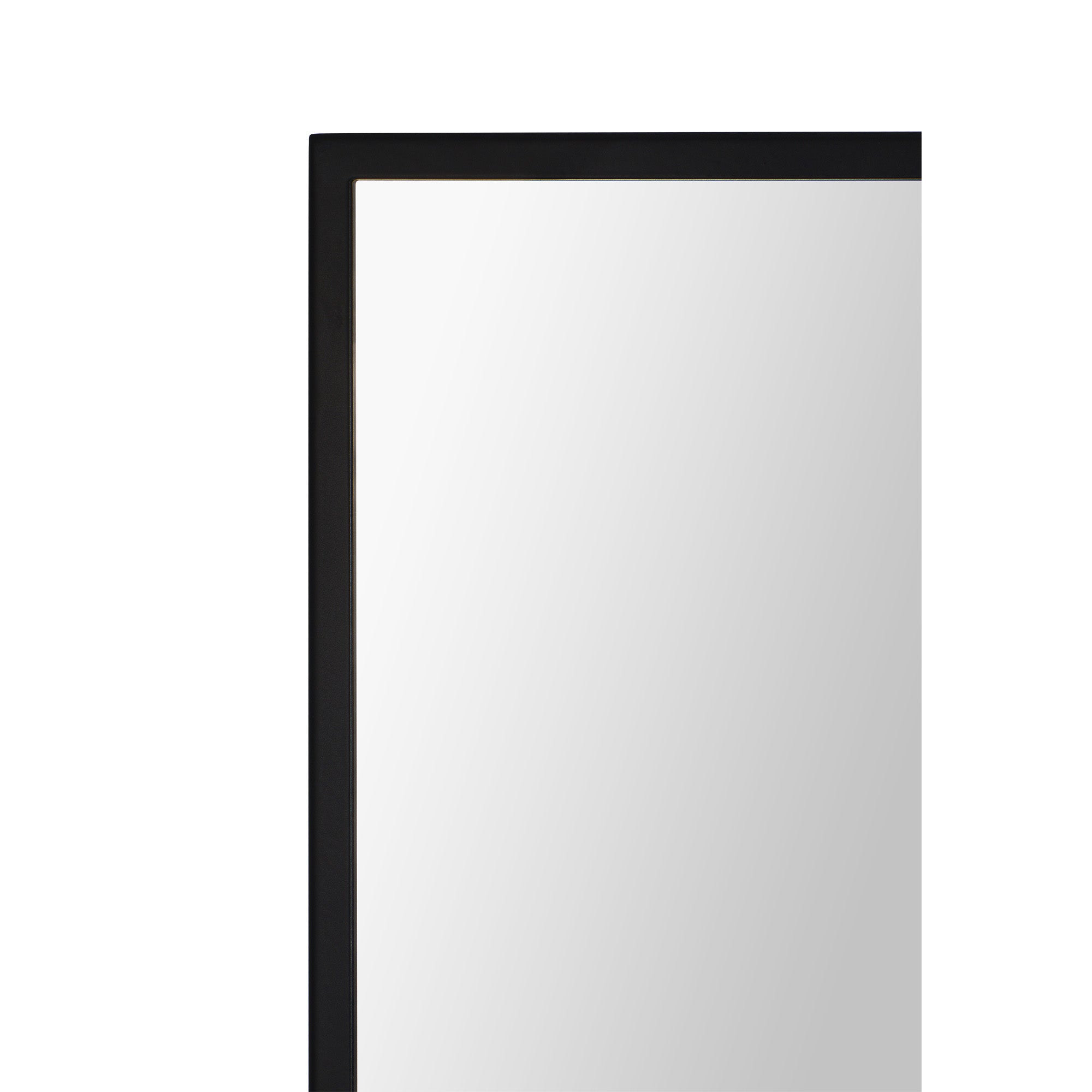 Renwil Amara 45" Tall Rectangle Wall Mirror - Black